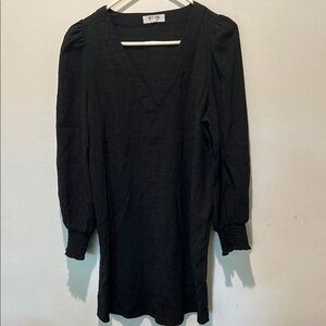 BB Dakota by Steve Madden Long Sleeve Textured Dress Size Small